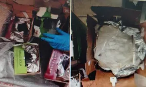 Đường dây mua bán 97,5 kg ma túy qua đường hàng không