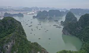 Quảng Ninh tìm đảo vắng trên vịnh Hạ Long cho tỷ phú